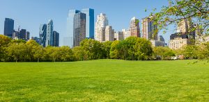 Shleppers Supports The Central Park Conservancy To Help Keep Central Park Green