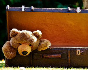 Teddy Bear In A Suitcase