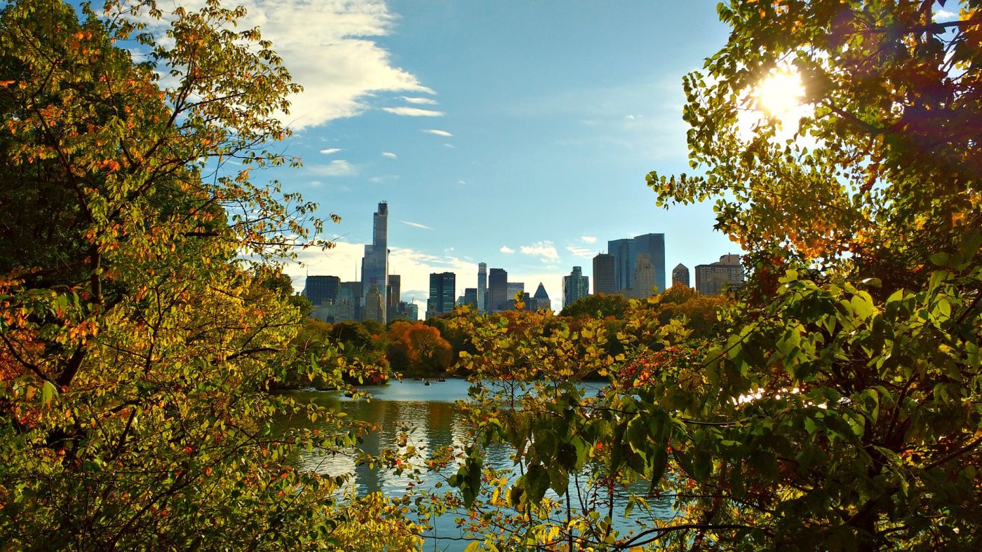 view on NYC from across pond