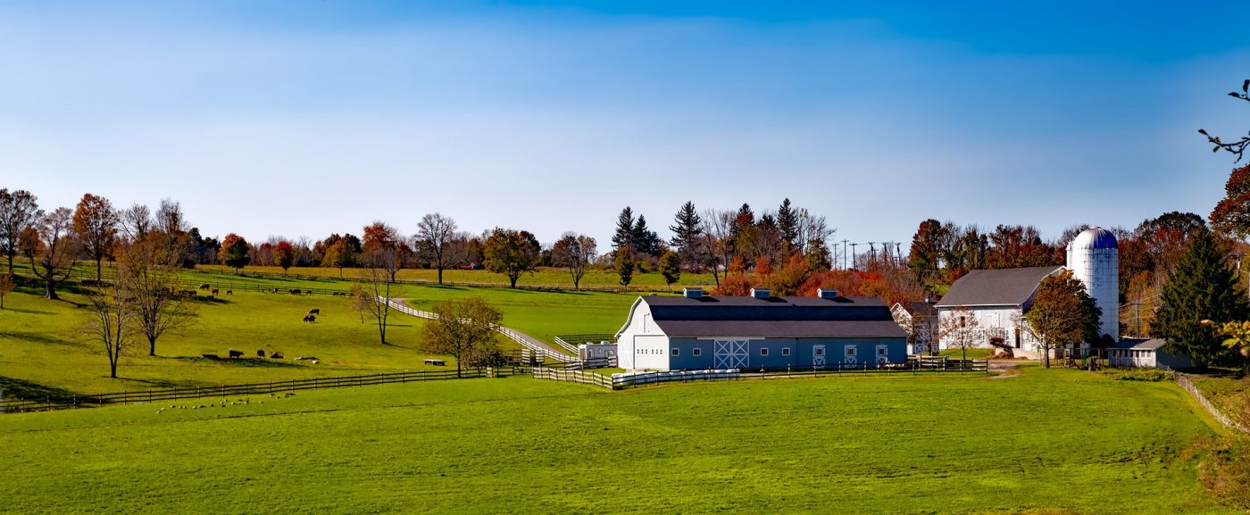 connecticut yard