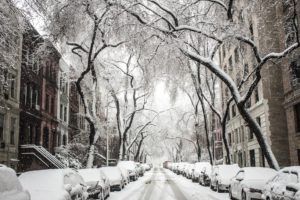 snowy brooklyn new york neighborhood