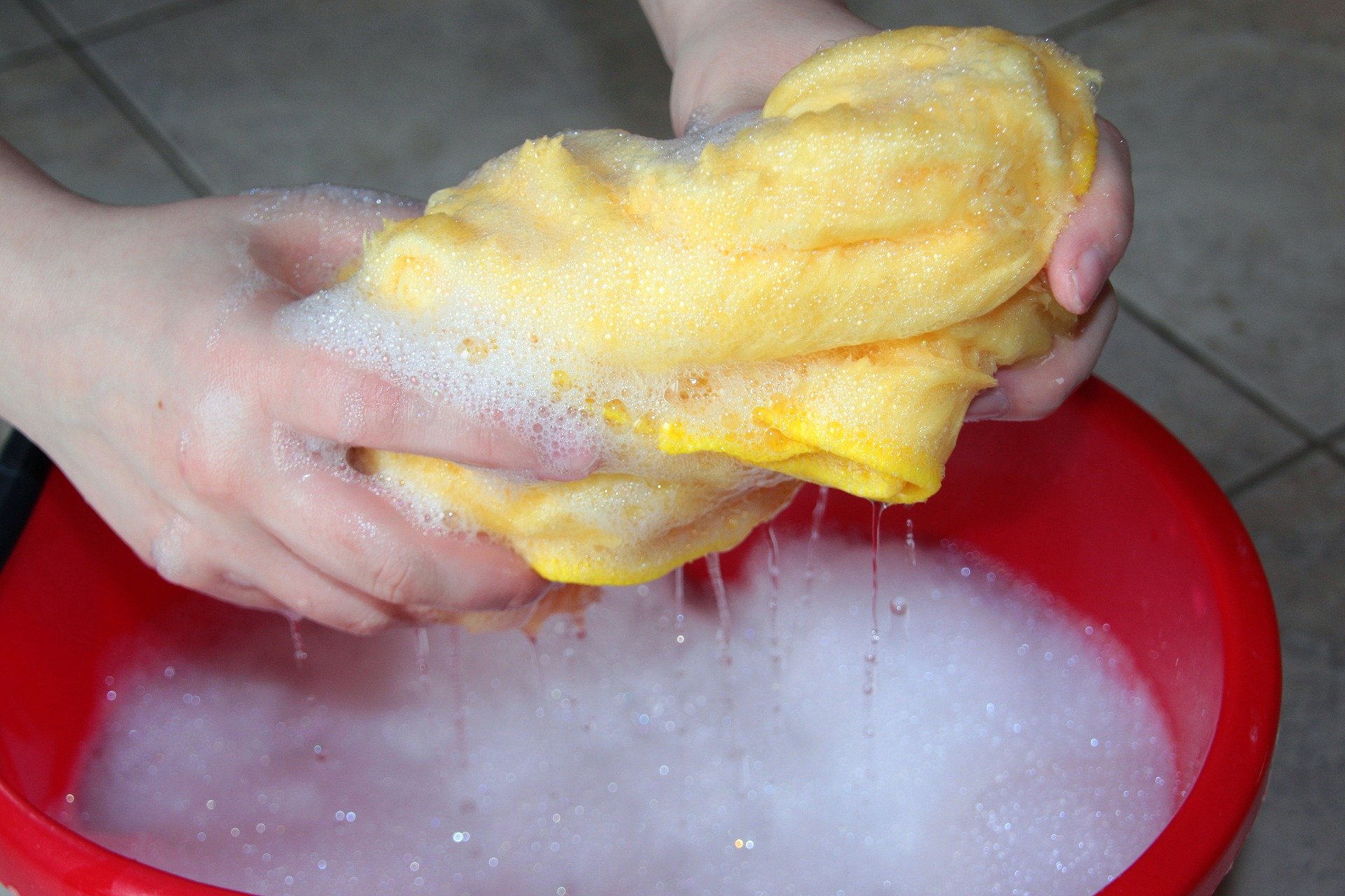 soapy water in bucket