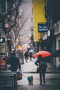 couple walking dog in city