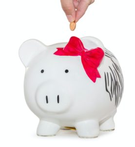 piggy bank budget