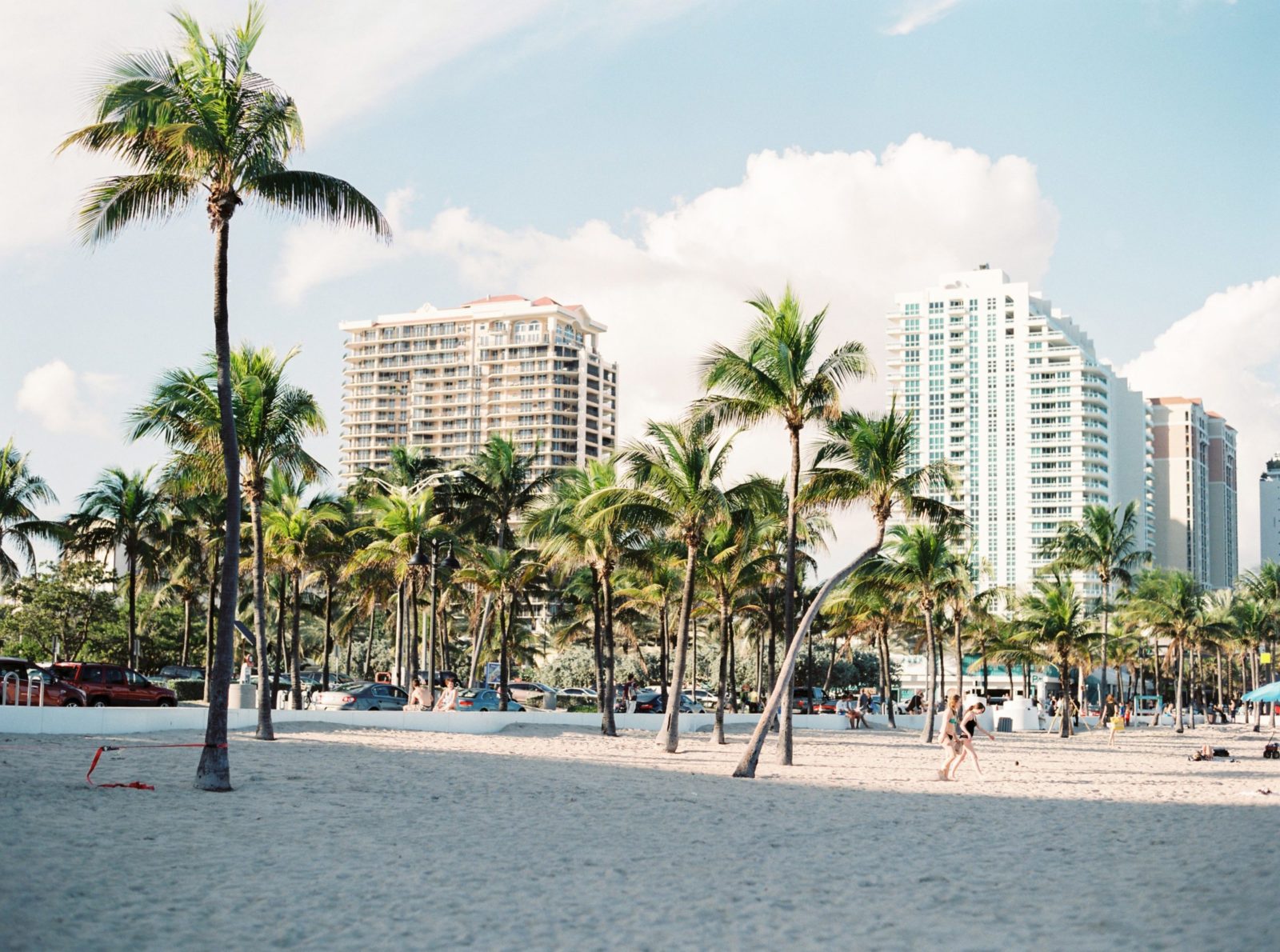 skyscrapers in miami florida surrounded by sand and palm trees